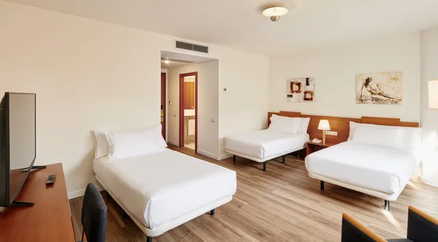 غرفة قياسية ثلاثية، Sercotel Arrahona 1/2