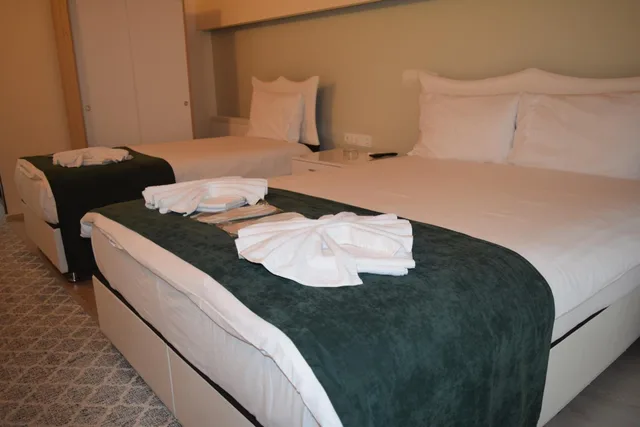 بنغل عائلي، Mars Otel Artvin 1/6