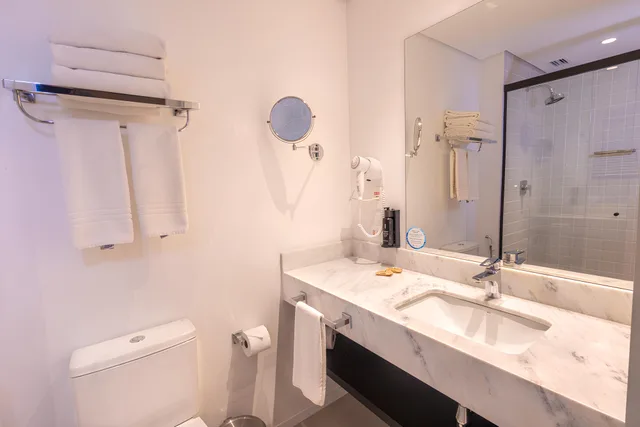 غرفة بريميوم بسرير مزدوج، Hotel Intercity Tatuape 2/2