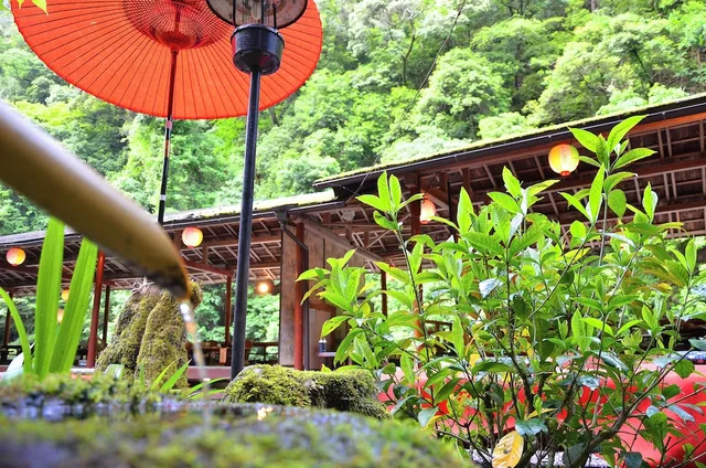 غرفة يابانية تقليدية بفرشتي فوتون بأرضية تاتامي، Takao Kanko Hotel 7/7