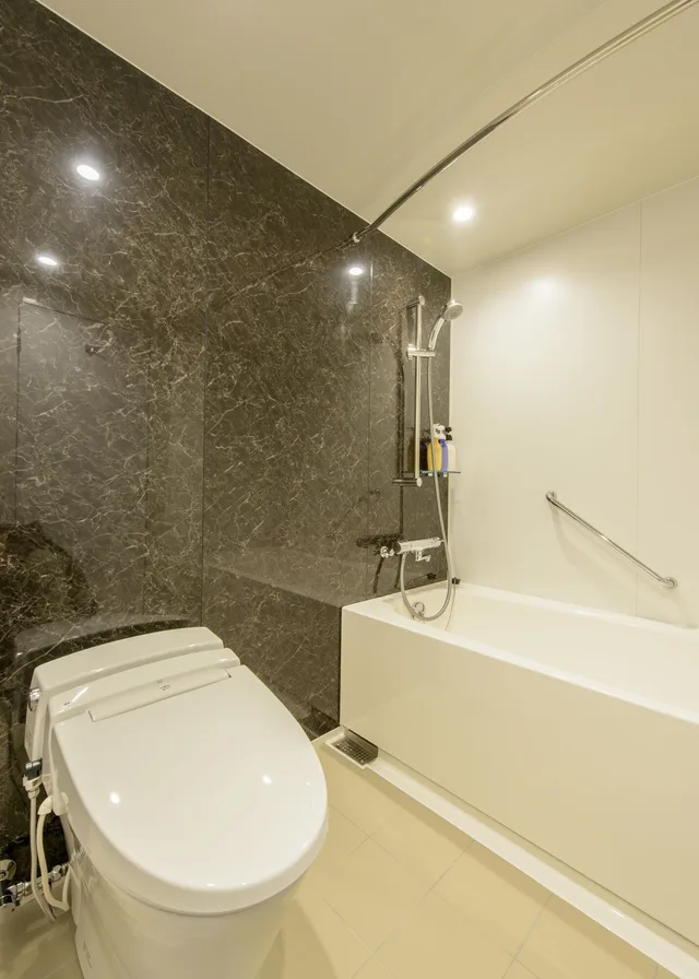 Standard, Double Bed, City View, High Floor, Ana Crowne Plaza Sapporo 4/5
