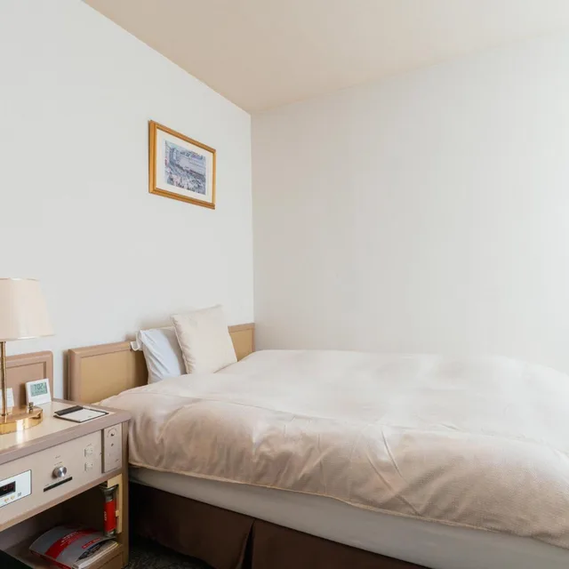 Room, Single, Hotel New Century 1/13