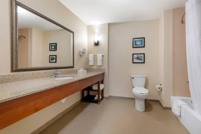 Suite, King Bed, Comfort Suites Elizabethtown 4/4