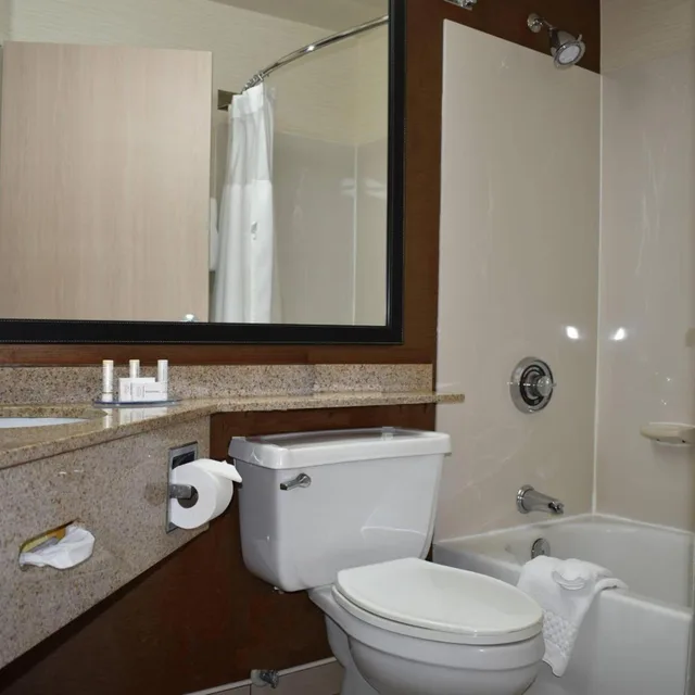 غرفة بسرير كينج بحوض استحمام لذوي الإعاقة، Fairfield Inn Suites Kansas City Liberty 3/3