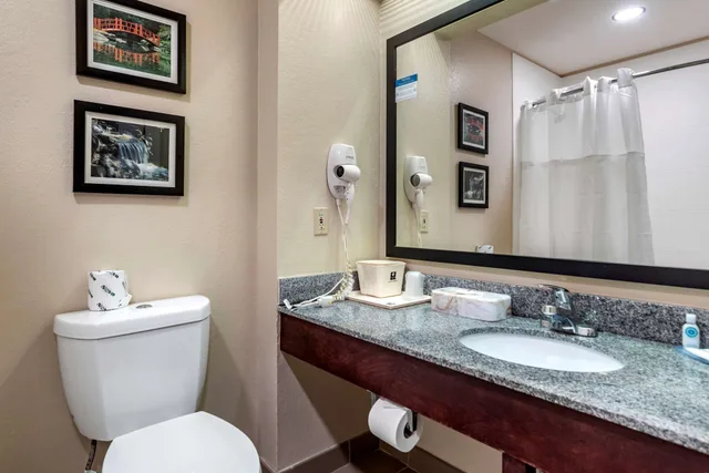 غرفة قياسية بسرير كينج، Comfort Inn Birmingham - Irondale 5/7