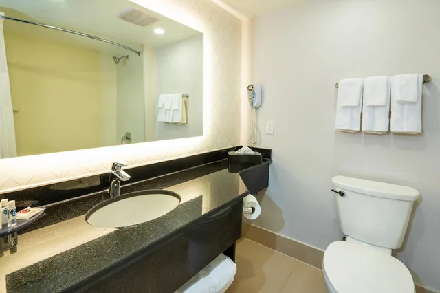 غرفة مع أريكة، Comfort Inn and Conference Centre Toronto Airport 3/3