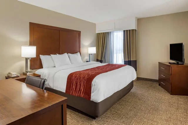 غرفة قياسية بسرير كينج، Comfort Inn & Suites Little Rock Airport 2/8
