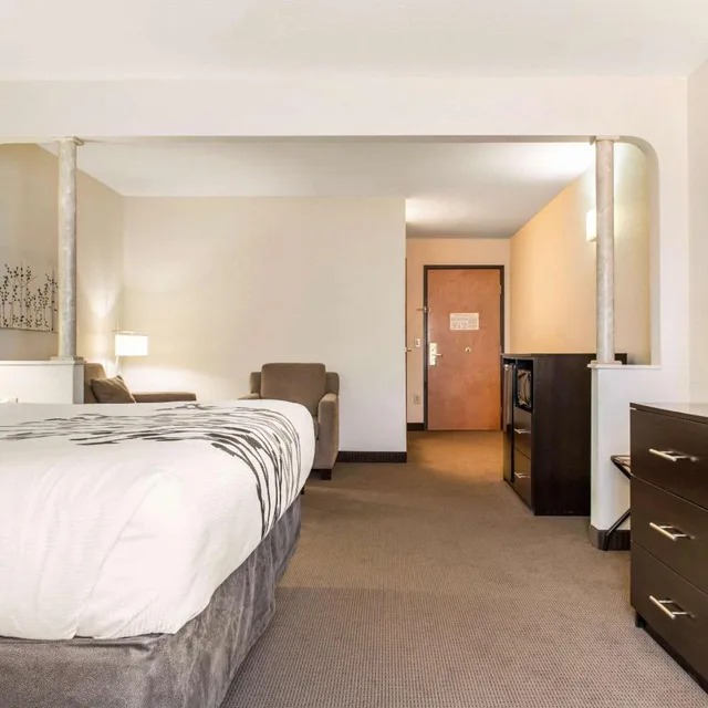جناح بسرير كينج مع أريكة بحوض جاكوزي، Sleep Inn & Suites Columbus South 2/8