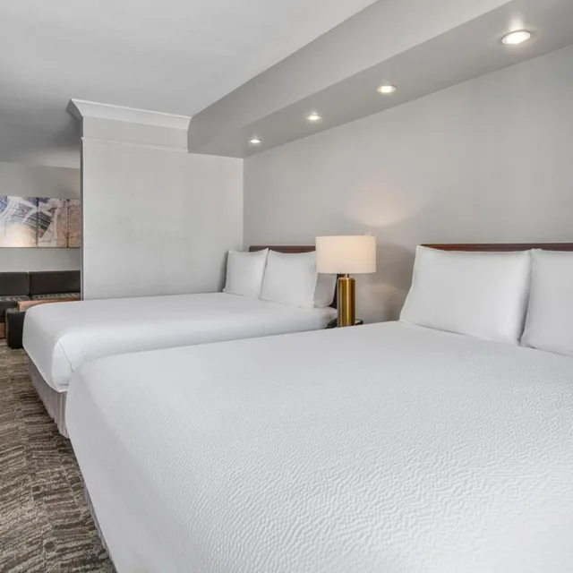 جناح بسرير كوين مع أريكة بحوض استحمام لذوي الإعاقة، Springhill Suites Phoenix Glendale Sports And Entertainment District 1/10