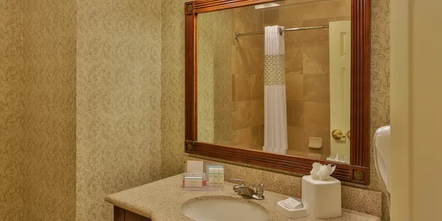 غرفة بسرير كينج، Hampton Inn and Suites Savannah Historic District 5/6