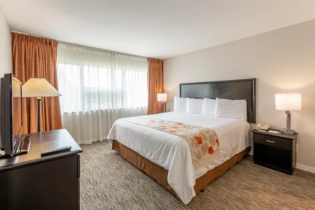 جناح ديلوكس بسرير كينج مع أريكة، Craigshire Suites - Arlington 2/9
