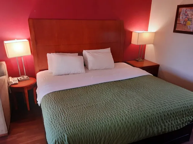جناح بسرير كينج مع أريكة، Econo Lodge Inn & Suites Griffin North 4/6