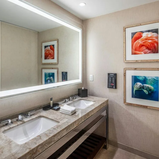 Room, 2 Queen Beds, Florida View, Gulf Coast Tower، Gaylord Palms Resort & Convention Center 4/11