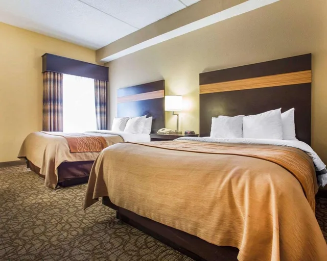 Suite, Queen Bed, Comfort Inn Suites At Stone Mountain 4/6