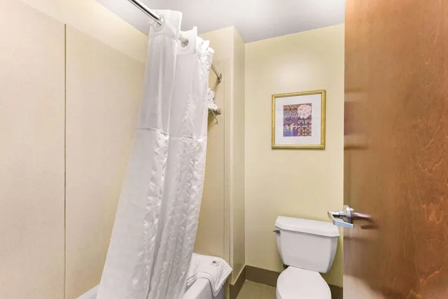 جناح بسريرين كوين، Comfort Suites Elkridge Columbia Gateway 3/4