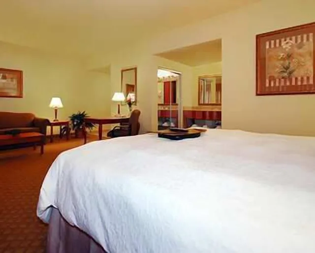 Studio, Suite, King Bed, Sofa, Accessible, Hampton Inn & Suites Pharr, TX 5/10