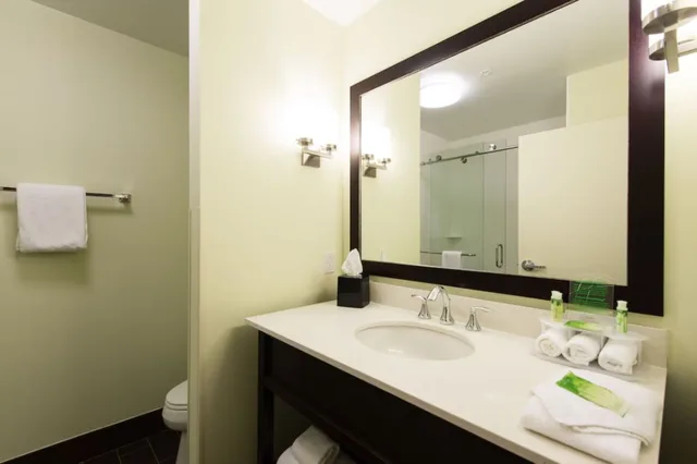غرفة قياسية بسرير مزدوج، Holiday Inn Express And Suites Aiken 6/6