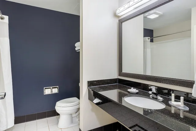 جناح تنفيذي بسرير كينج بغرفة نوم واحدة مع أريكة، Fairfield Inn & Suites by Marriott Houston Conroe/Woodlands 5/5
