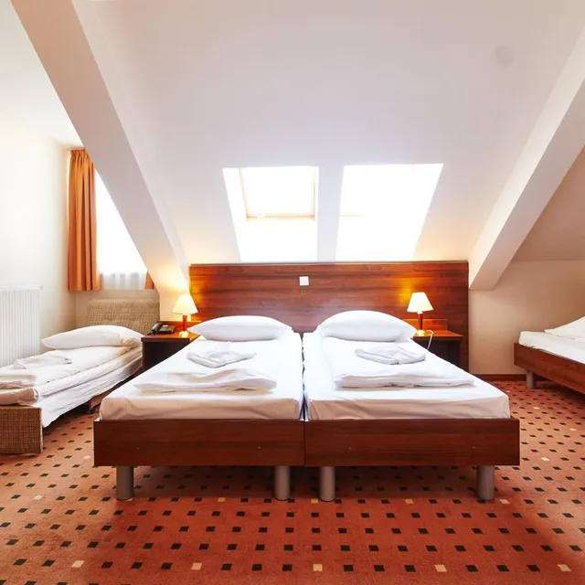 Family, Single Bed, Hotel Europa City 2/10