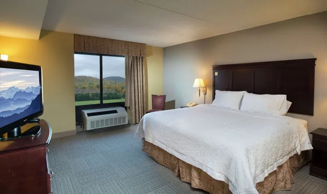 جناح بسرير كينج، Hampton Inn Bennington 1/1