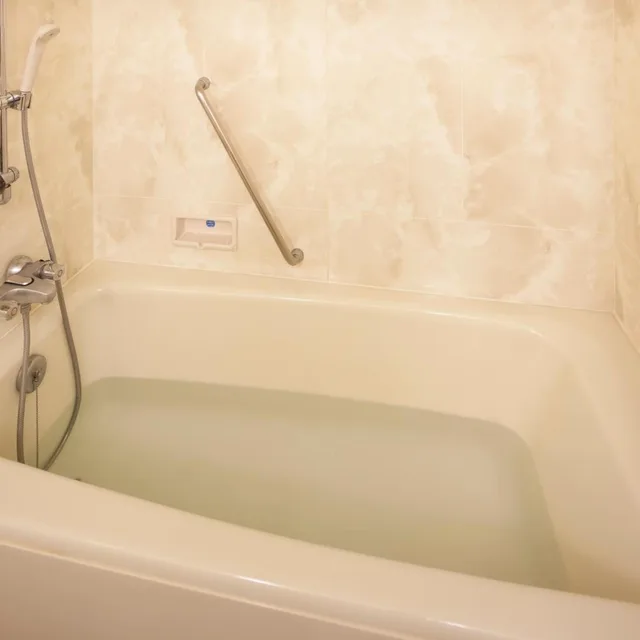 غرفة قياسية بسريرين منفصلين، Hotel Izukyu 9/10