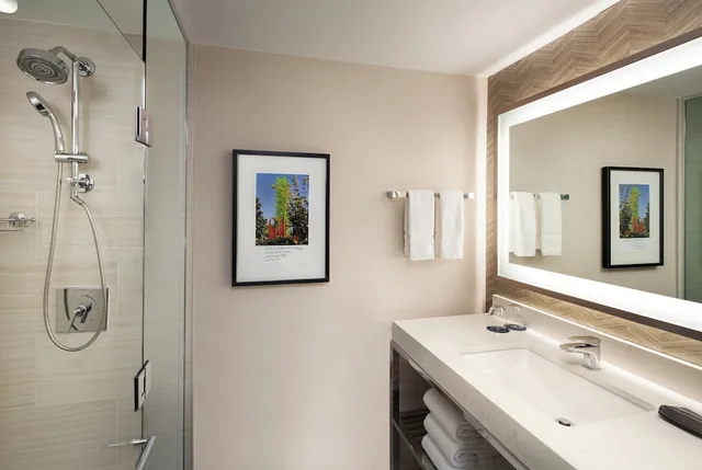 غرفة بسرير كينج لذوي الإعاقة، Sheraton Grand Seattle 1/1