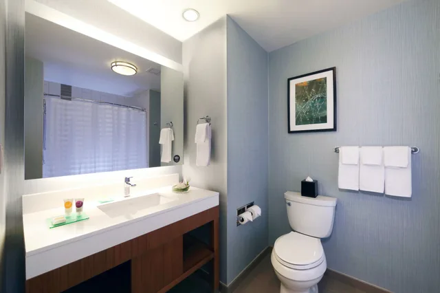 جناح بسرير كينج لذوي الإعاقة، Hyatt Place Flushing Laguardia Airport 6/6