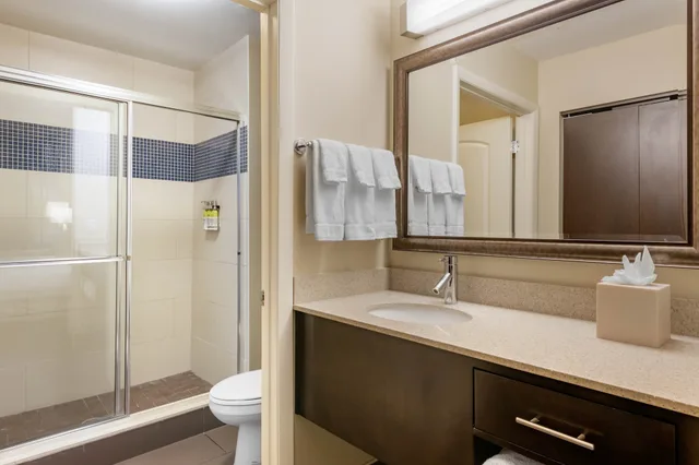 جناح بسرير كينج بغرفة نوم واحدة مع أريكة بمطبخ، Staybridge Suites St. Petersburg FL 3/4