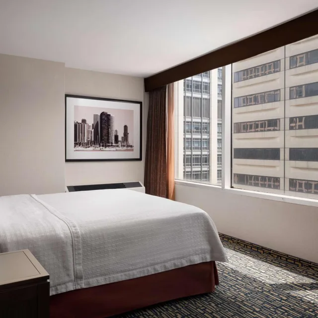 1 Bedroom, Suite, King Bed, Sofa, Homewood Suites By Hilton Chicago Downtown/Magnificent Mile 1/4