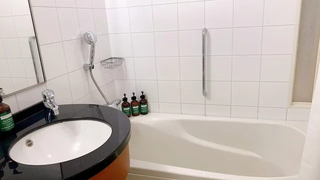 غرفة بريميوم بسريرين منفصلين بإطلالة على المدينة في طابق مرتفع، Ana Crowne Plaza Okayama Formerly Ana Hotel Okayama 3/5
