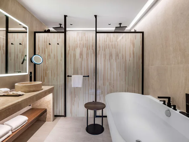 جناح بسرير كينج، Swissotel Tbilisi 3/3