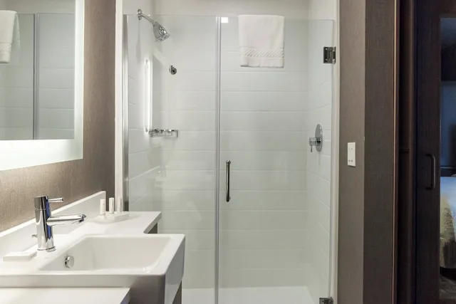 studio, multiple beds، SPRINGHILL SUITES SOMERSET FRANKLIN TOWNSHIP 2/3