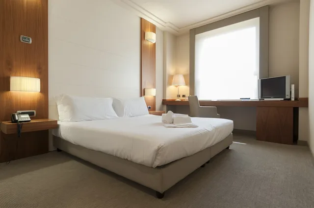 Standard, Single, Double Bed, Hotel Barrage 1/1