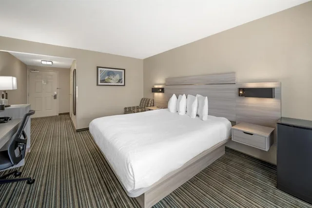 غرفة قياسية بسرير كينج لذوي الإعاقة، Best Western Plus Twin View Inn & Suites 5/6