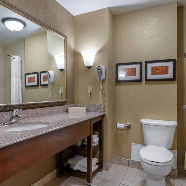 جناح ديلوكس بسرير كينج، Comfort Suites Grand Rapids South 5/5