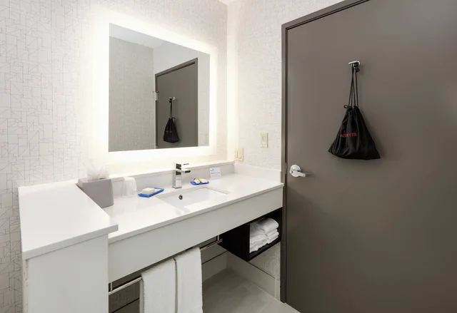 غرفة قياسية بسرير كينج يُسمح فيها بالحيوانات الأليفة، Holiday Inn Express Suites Farmers Branch 8/10