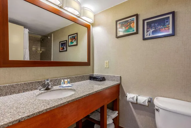 غرفة بسرير كينج، Comfort Inn & Suites Nashville Near Tanger Outlets I-24 Antioch 8/8