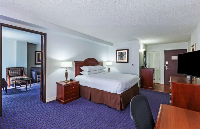 جناح بسرير كينج بإطلالة على المسبح، Hilton Waco 2/3