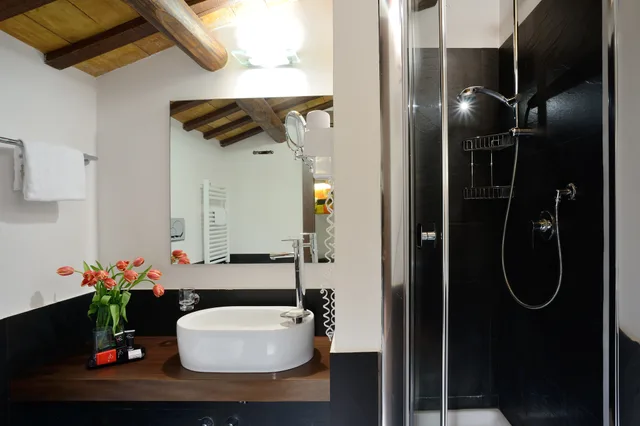 غرفة سوبيريور بسرير مزدوج، Trevi Hotel 4/4