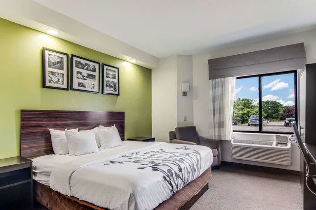 غرفة قياسية بسرير كينج، Sleep Inn Austintown - Youngstown, West 1/3