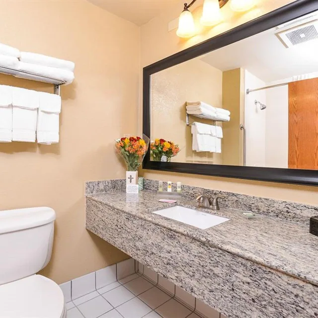 1 Bedroom, Suite, Queen Bed, Pool Side، Country Inn & Suites by Radisson, Mesa, AZ 1/1