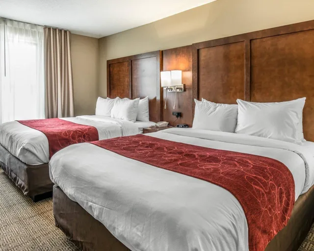 جناح بسريرين كوين مع أريكة لذوي الإعاقة، Comfort Suites Dunnellon near Rainbow Springs 2/10