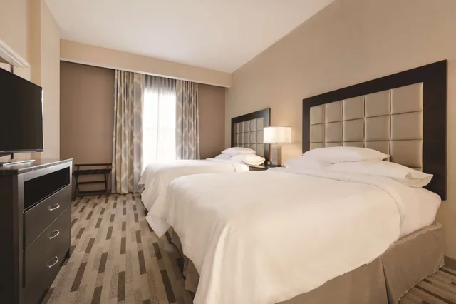 جناح بريميوم بسريرين كوين بمطبخ صغير، Embassy Suites by Hilton Tuscaloosa Alabama Downtown 2/5