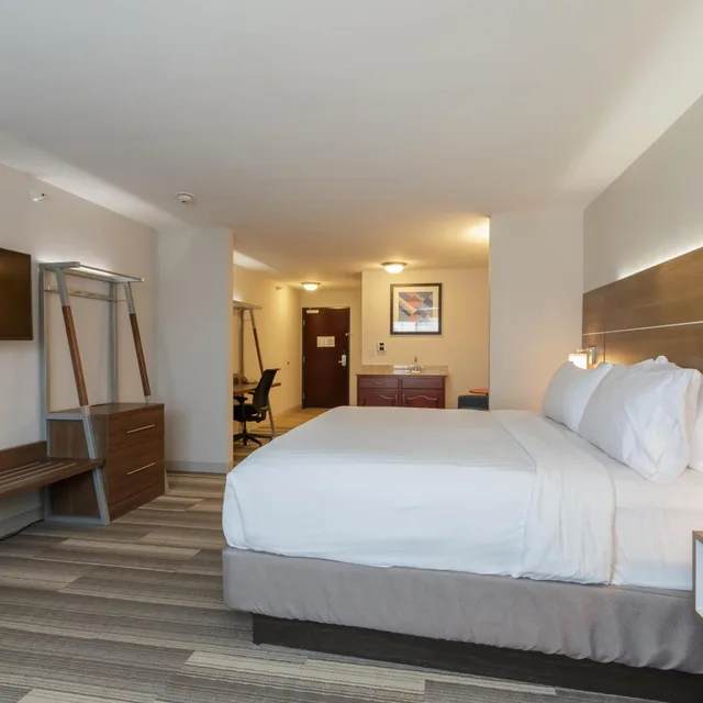 جناح تنفيذي، Holiday Inn Express Hotel & Suites South Bend 1/8