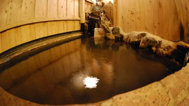 غرفة قياسية مفردة، Aso Gogaku Hotel 2/2