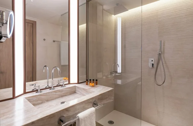 Panoramic, King Bed, City View, Princesa Plaza Madrid 4/6