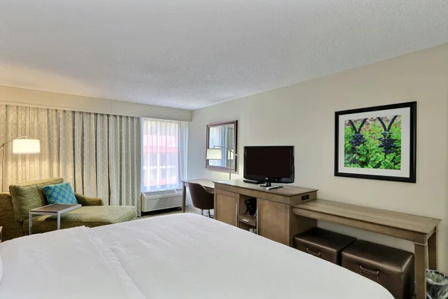 غرفة بسرير كينج لذوي الإعاقة، Hampton Inn Savannah-I-95 Richmond Hill 1/6