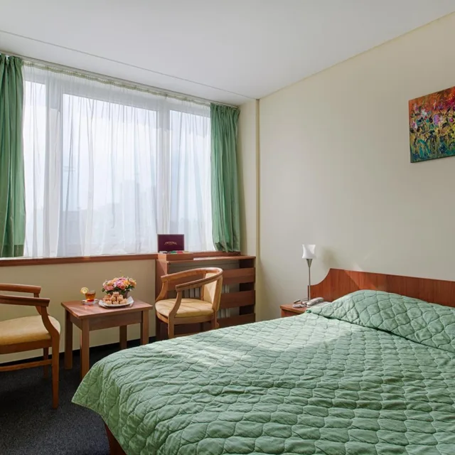 شقة ديلوكس بسرير مزدوج، Hemus Hotel Sofia 4/6