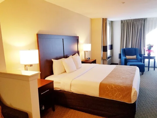 جناح بسرير كينج مع أريكة، Quality Suites Irving-Las Colinas 7/10
