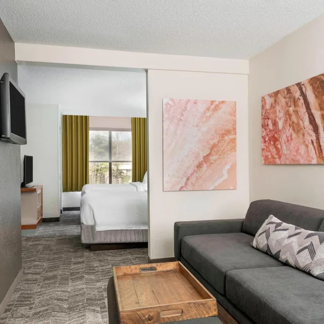 جناح بسريرين مزدوجين مع سرير سحّاب إضافي مع أريكة لذوي الإعاقة، SpringHill Suites by Marriott Asheville 2/4